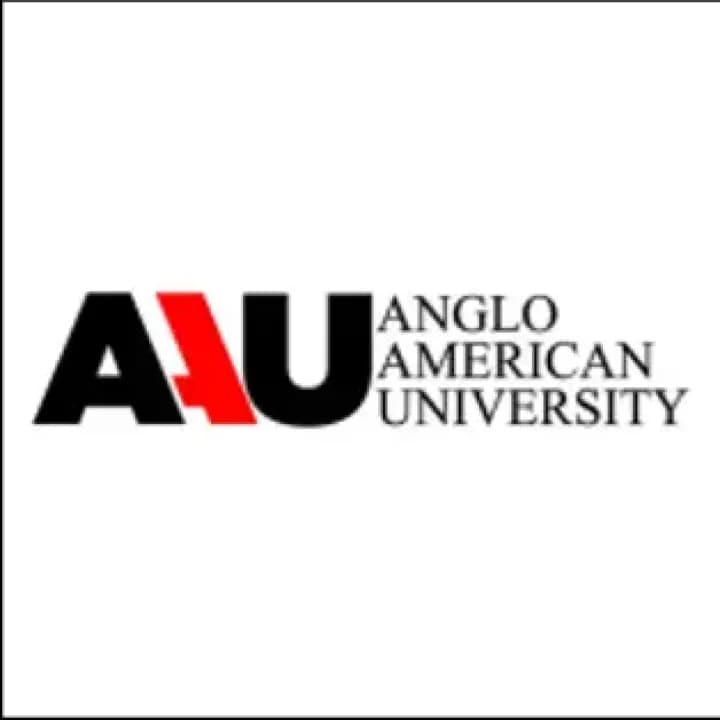 Anglo American University